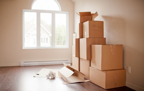 Preparing boxes and furniture for a smooth move in The Burroughs