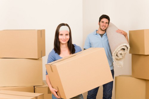 Packing and moving support for homes and offices in The Burroughs