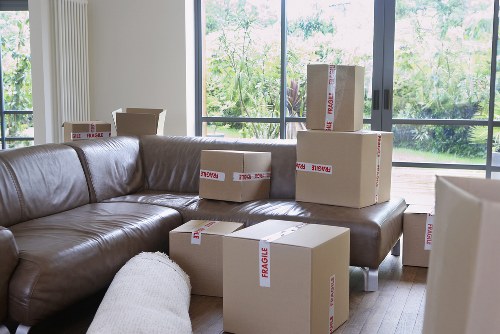 Removal team carrying boxes during a move in The Burroughs