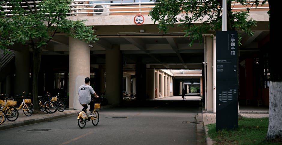 A man riding a yellow bicycle with a pannier bag on the rear rack is moving through an urban area beneath a concrete overpass or building structure. On the left side of the image, several yellow bicycles are parked along the sidewalk, some with baskets attached. The scene is shaded by trees with green foliage, and the ground is paved. In the background, an individual is walking further into the covered area, which features support columns and a service sign with text in Chinese characters and English. The overall setting appears to be an outdoor transit or pedestrian zone adjacent to a university or residential complex, where staff from Man with Van The Burroughs may assist in house removals or furniture transport as part of home relocation or moving services, with the environment indicating a typical cityscape involved in packing and moving logistics.
