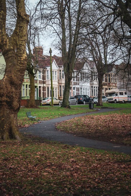 A residential street scene during daytime with several parked vehicles including white vans, black cars, and a blue car along the curb, adjacent to a row of trees with autumn foliage displaying yellow and orange leaves. The pavement features painted bicycle lane markings and parking restrictions, with some fallen leaves scattered across the road. In the background, there are multi-storey apartment buildings with balconies and windows. The sky is overcast with grey clouds, indicating cloudy weather conditions. This setting is representative of a typical location where home relocation and furniture transport services may be arranged, with ample space for loading and access to nearby parking areas, as managed by [COMPANY_NAME], specialists in removals.
